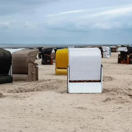 Urlaubsfeeling Am Wattnmeer- Strandmuschel *