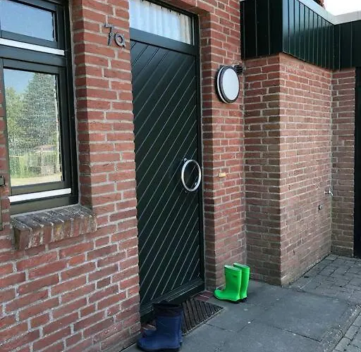 Urlaubsfeeling Am Wattnmeer- Strandmuschel Varel