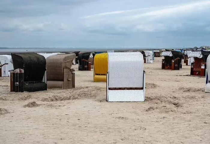 Urlaubsfeeling Am Wattnmeer- Strandmuschel *